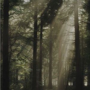 Meet your Posher, Kai